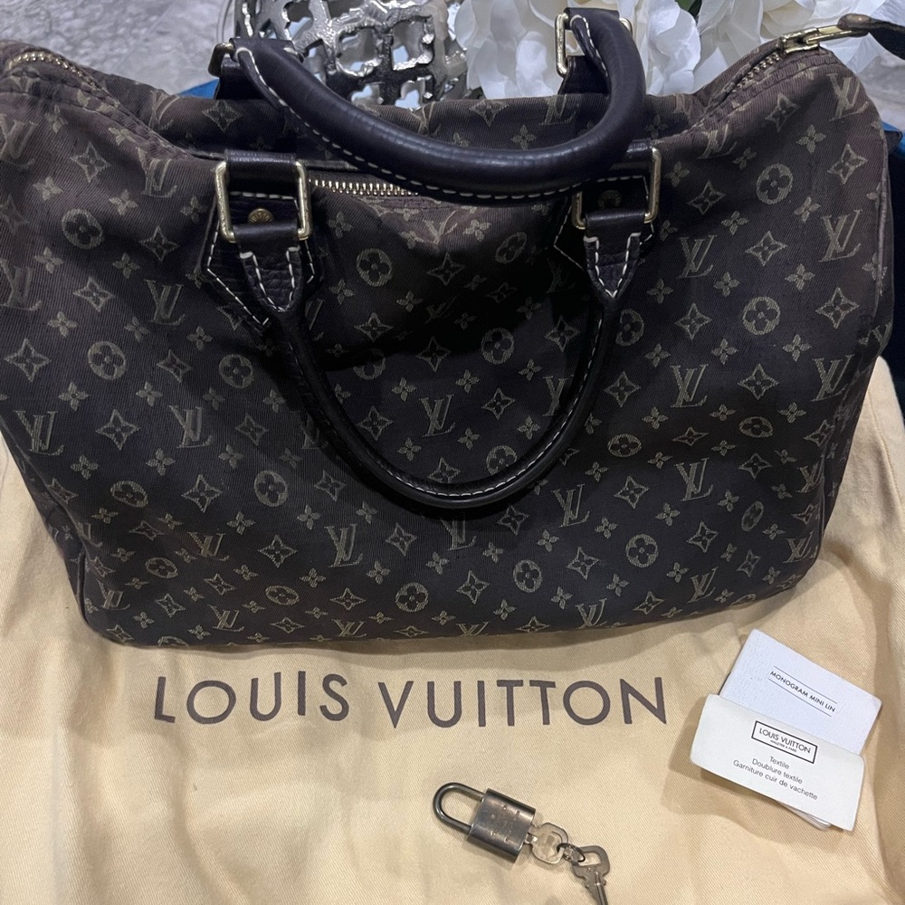 Louis Vuitton Monogram Mini Lin Speedy 30